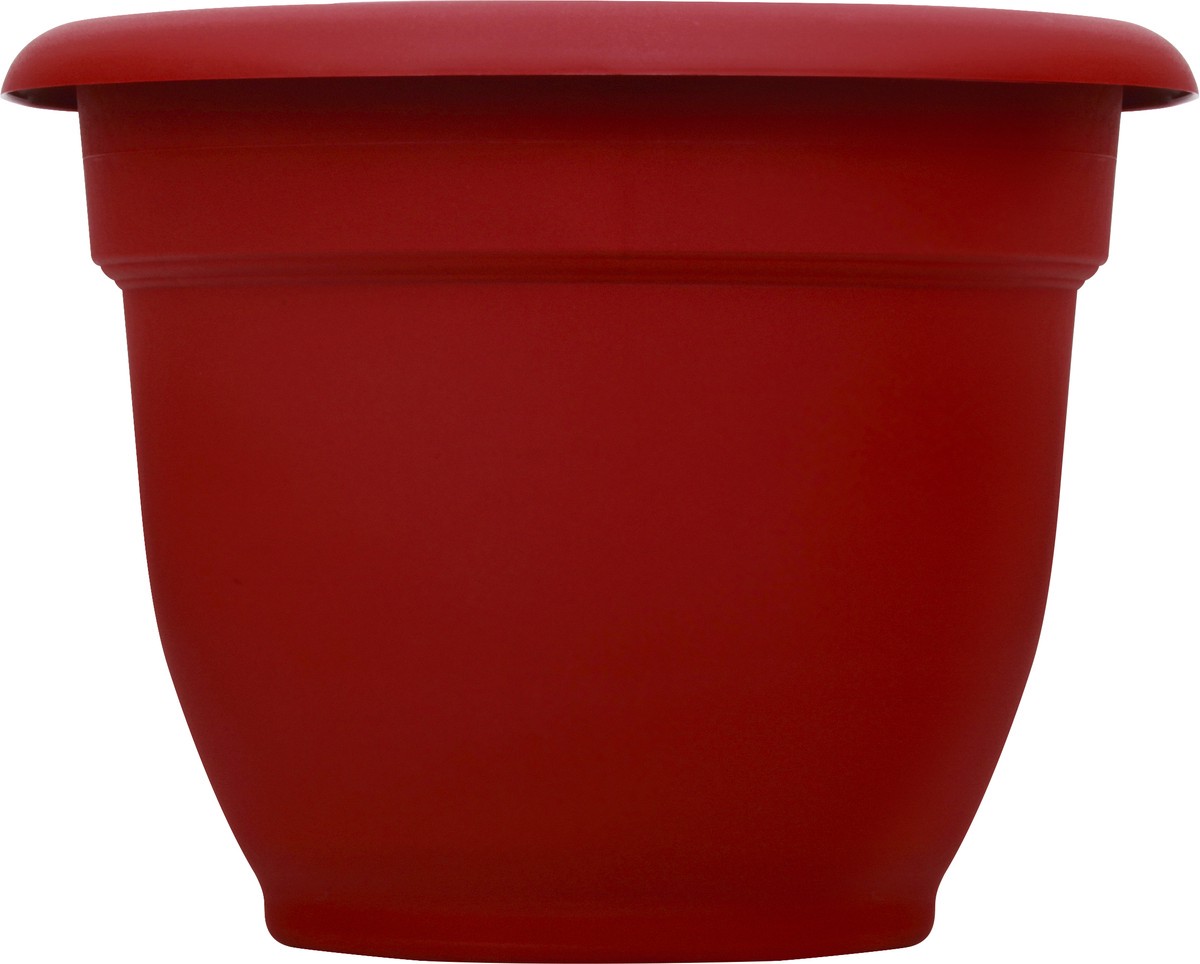 slide 5 of 9, Bloem Burnt Red Ariana Planter 8In, 10 in