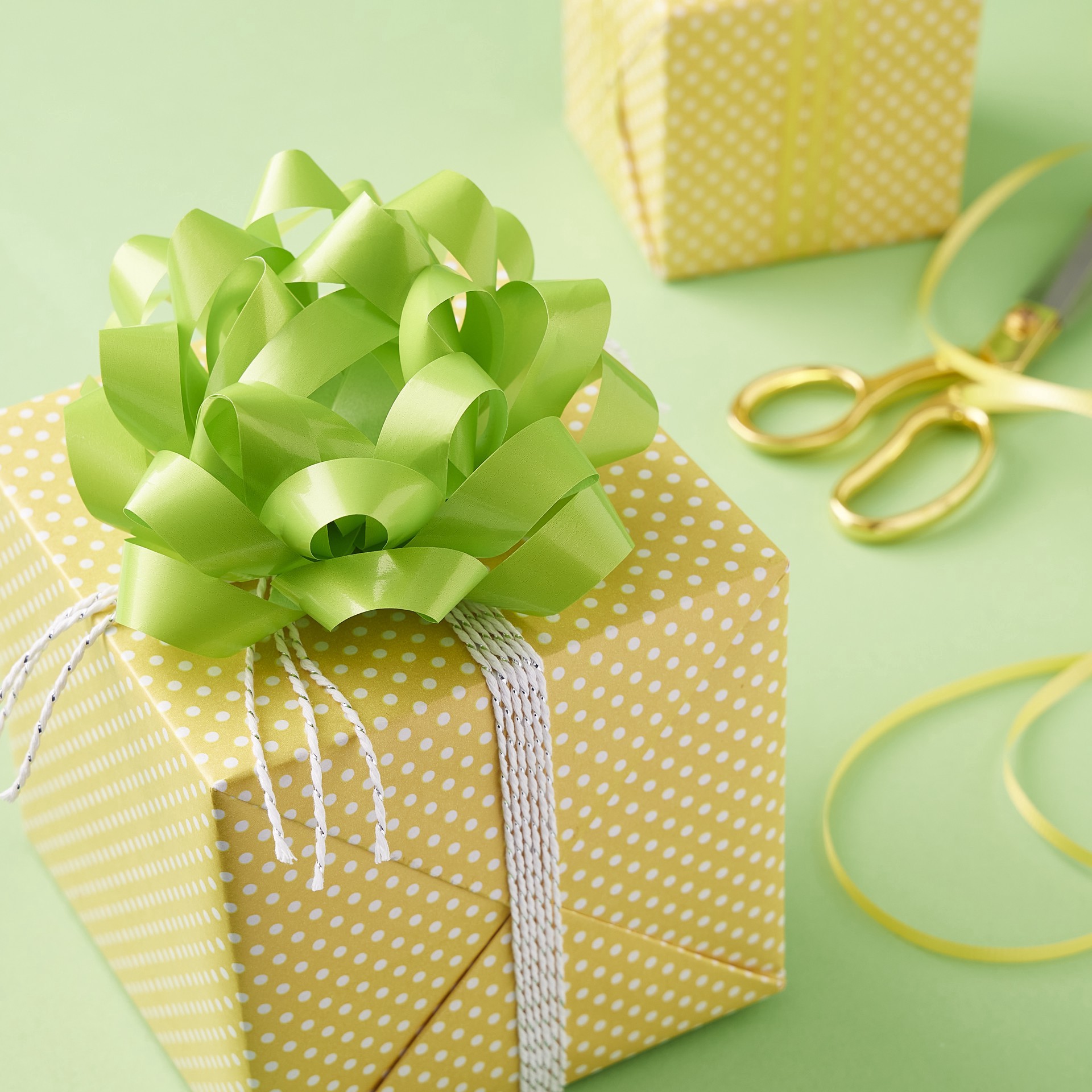 slide 3 of 3, 5.75" Lime Lacquer Gift Bow By Celebrate It, 5.75 in