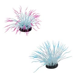 Meijer Silicon Plant Sea Anemone, Med.