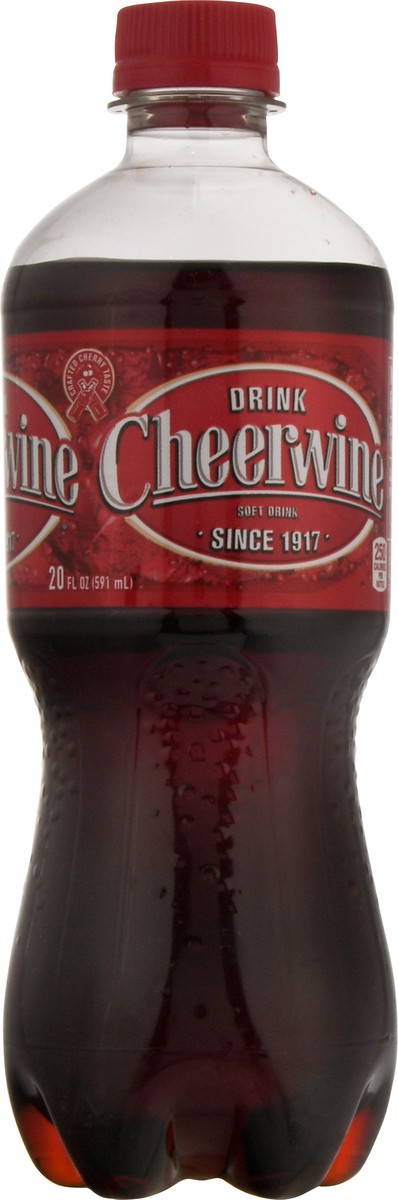 slide 6 of 9, Cheerwine Soft Drink - 20 fl oz, 20 fl oz