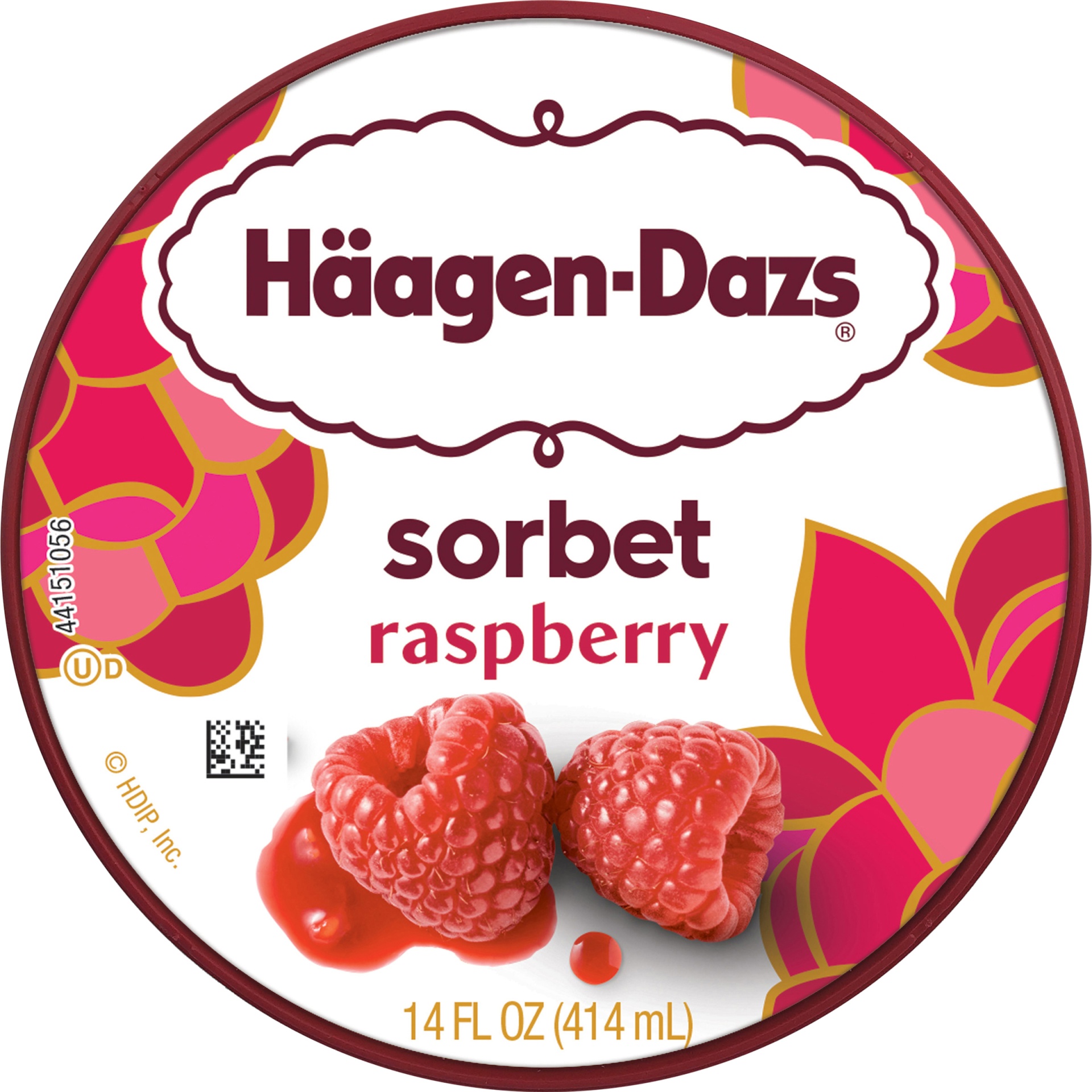 slide 5 of 5, Haagen-Dazs Raspberry Sorbet, 14 fl oz