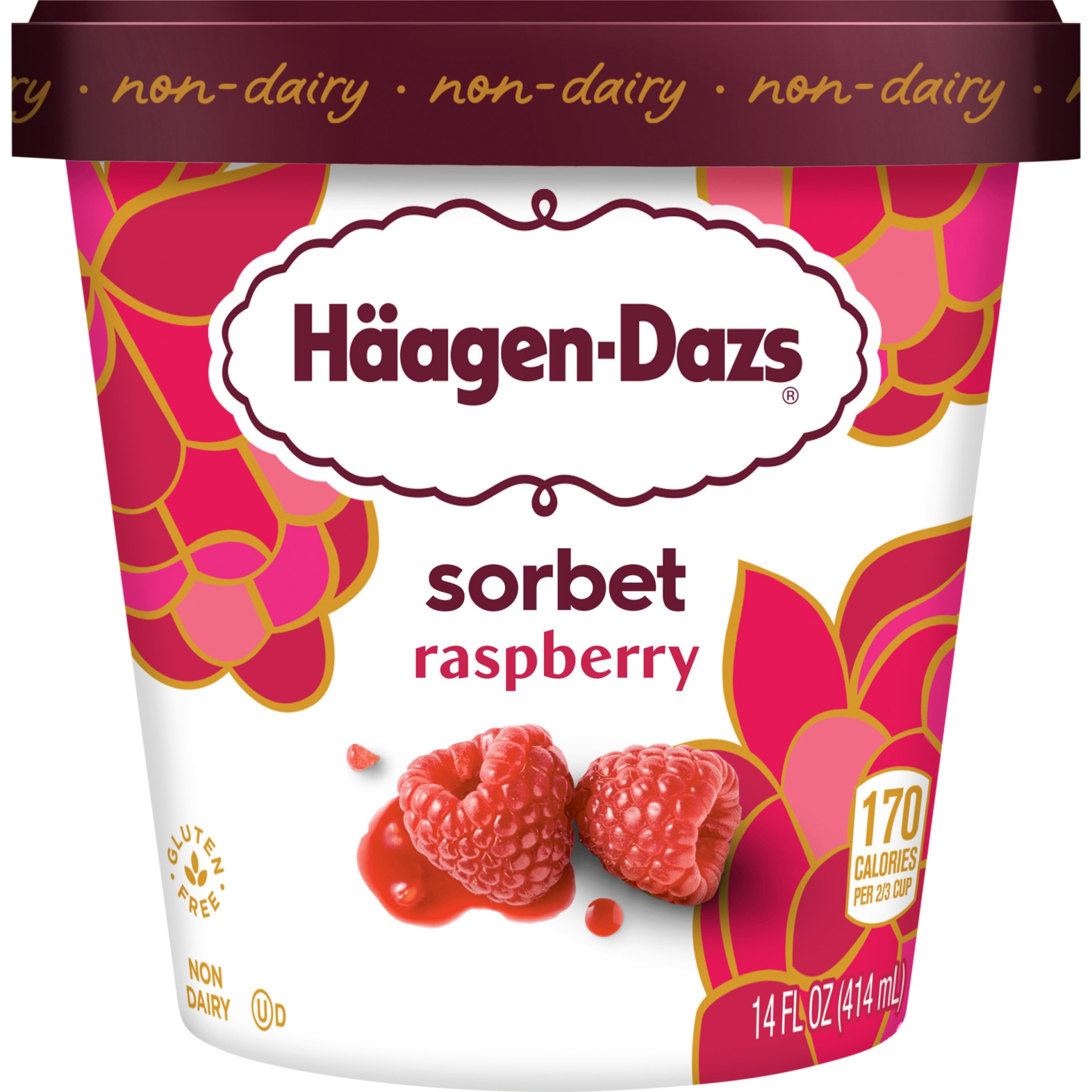 slide 1 of 5, Haagen-Dazs Raspberry Sorbet, 14 fl oz