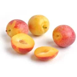 Fresh Plum Cherry Plumcots