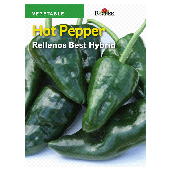 slide 1 of 1, Burpee Hot Pepper Rellenos Best Hybrid Seeds, 1 ct