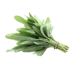 Goodness Gardens Organic Sage
