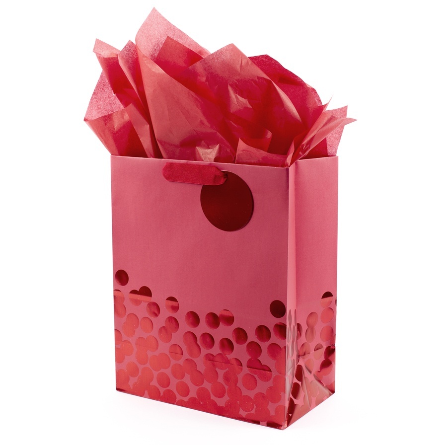 slide 1 of 1, Hallmark Large Gift Bag With Tissue (Red Dots), 1 ct