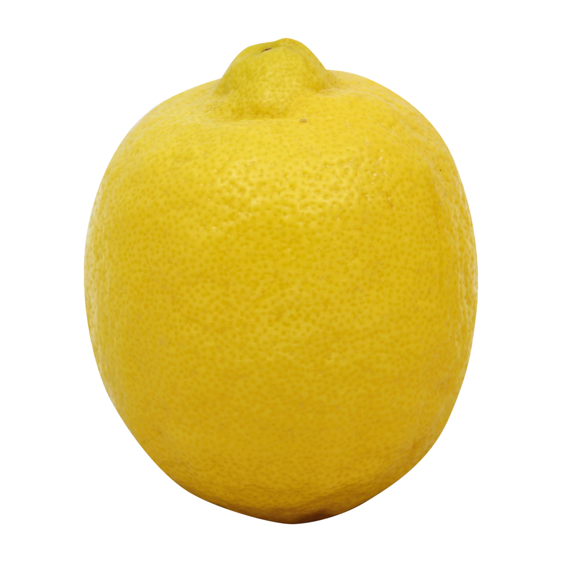 Lemons Large Gift Bag