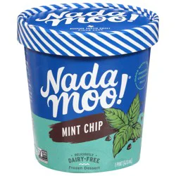 NadaMoo Dairy-Free Mint Chip Frozen Dessert 1 pt
