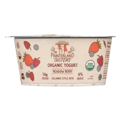 Painterland Sisters Organic Skyr Meadow Berry Yogurt 5.3 oz