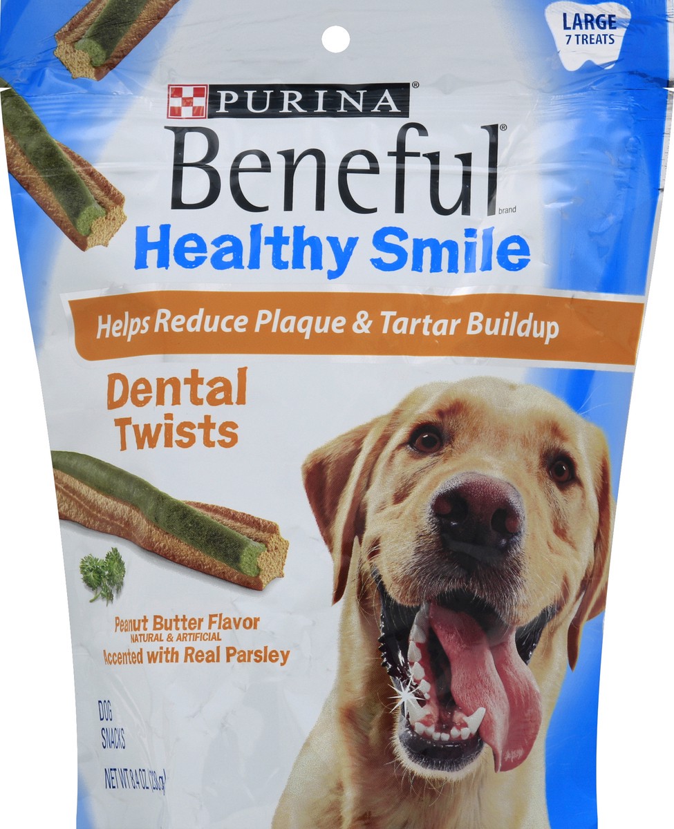 slide 2 of 2, Purina Beneful Healthy Smile Dental Twists Dog Treats, 8.4 oz