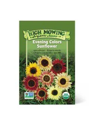 High Mowing Organic Seeds Sunflower Evening Colors