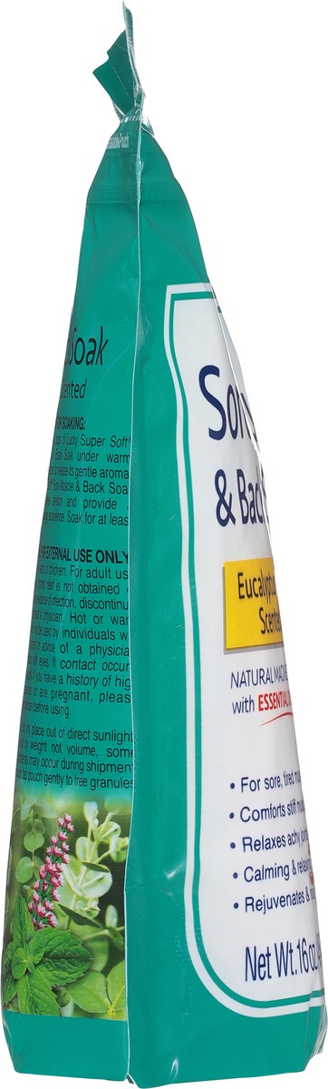 slide 8 of 10, Lucky Super Soft Sore Muscle & Back Soak Eucalyptus & Peppermint Scented Epsom Salt 16 oz, 16 oz