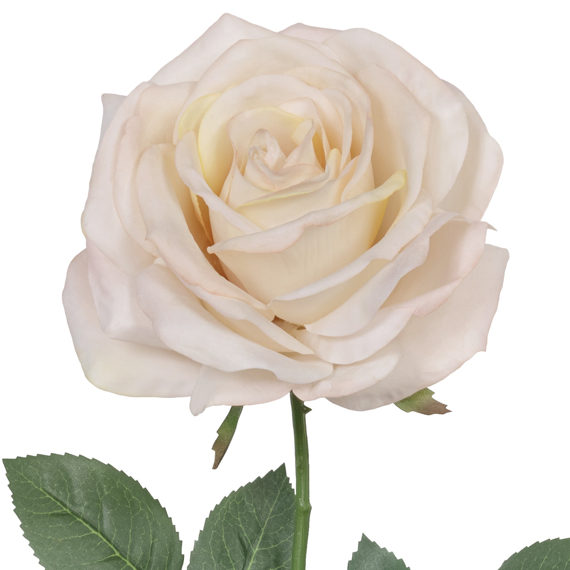 slide 3 of 3, 24" Faux Real Rose Stem By Ashland, 4.75 in x 4.75 in x 24 in