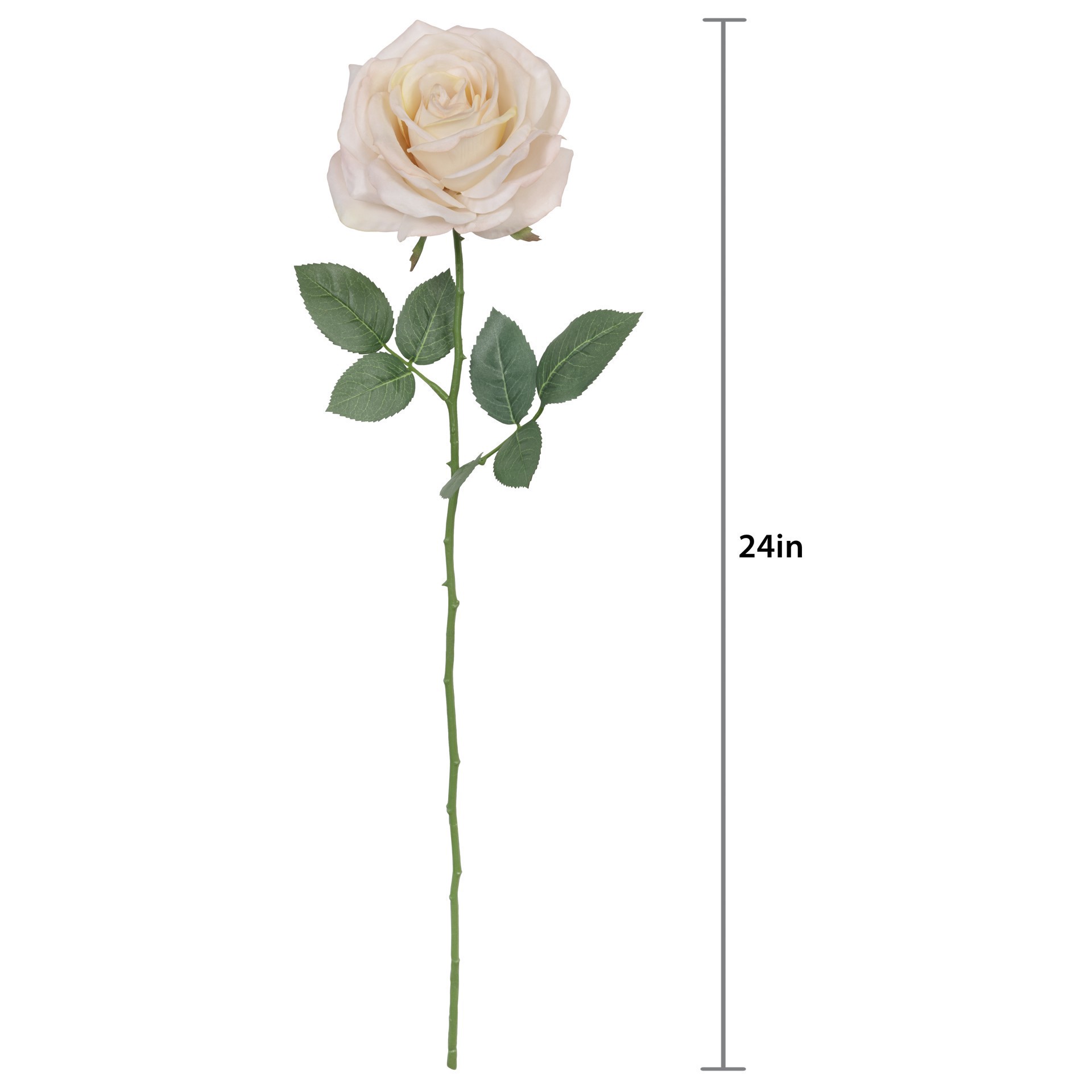 slide 2 of 3, 24" Faux Real Rose Stem By Ashland, 4.75 in x 4.75 in x 24 in