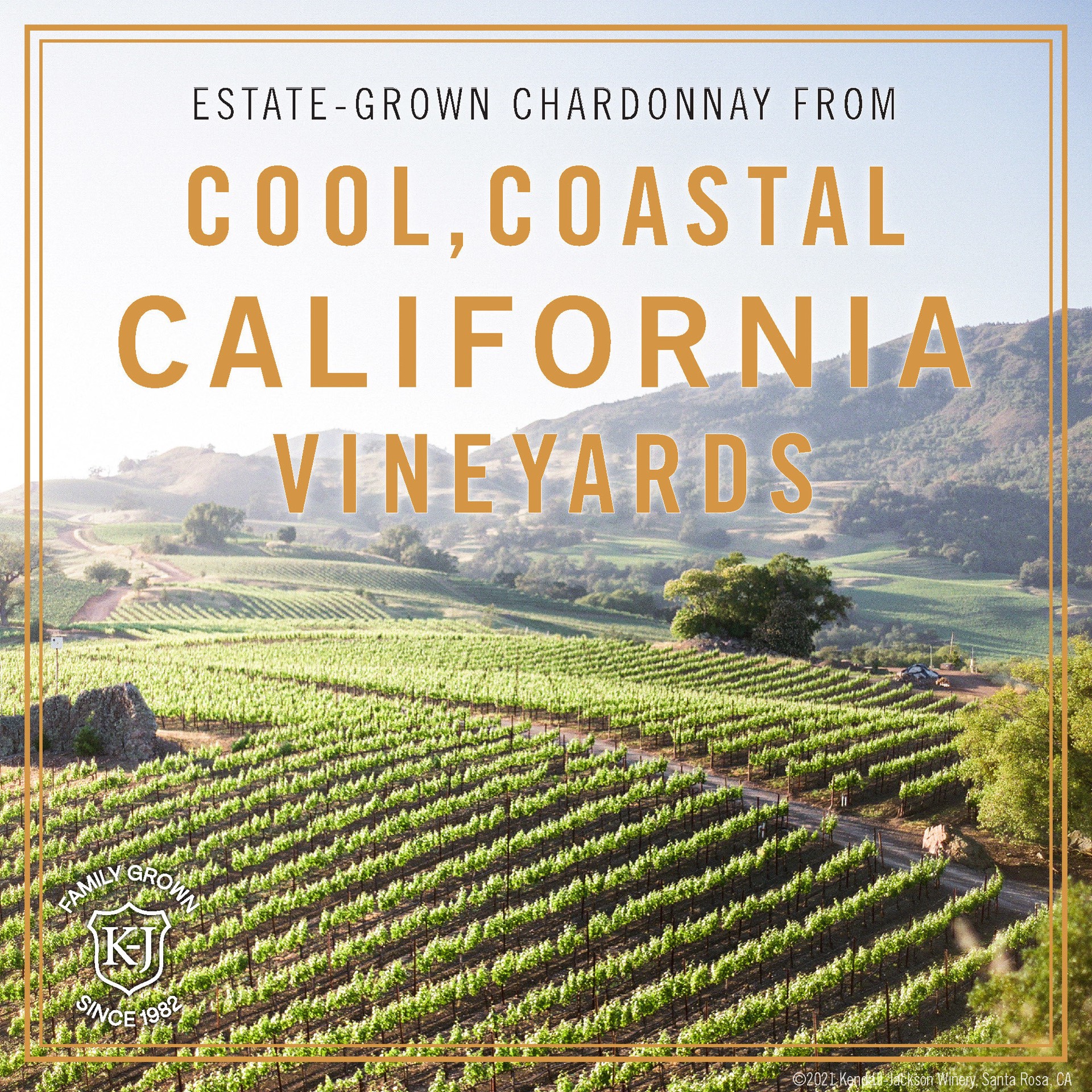 slide 3 of 5, Kendall-Jackson Vintner's Reserve California Chardonnay White Wine, 750ml, 1 ct