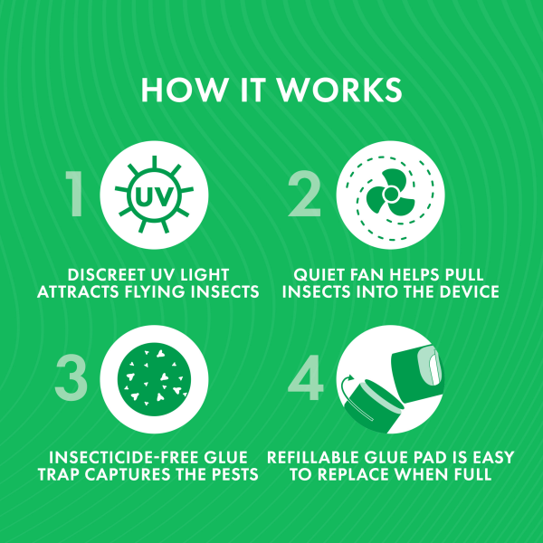 slide 3 of 29, STEM Flying Insect Fan Trap for Indoor Bug Control, Plug-In Fan with UV Light, Starter Kit Includes 1 Device and 5 Glue Traps, 1 ct