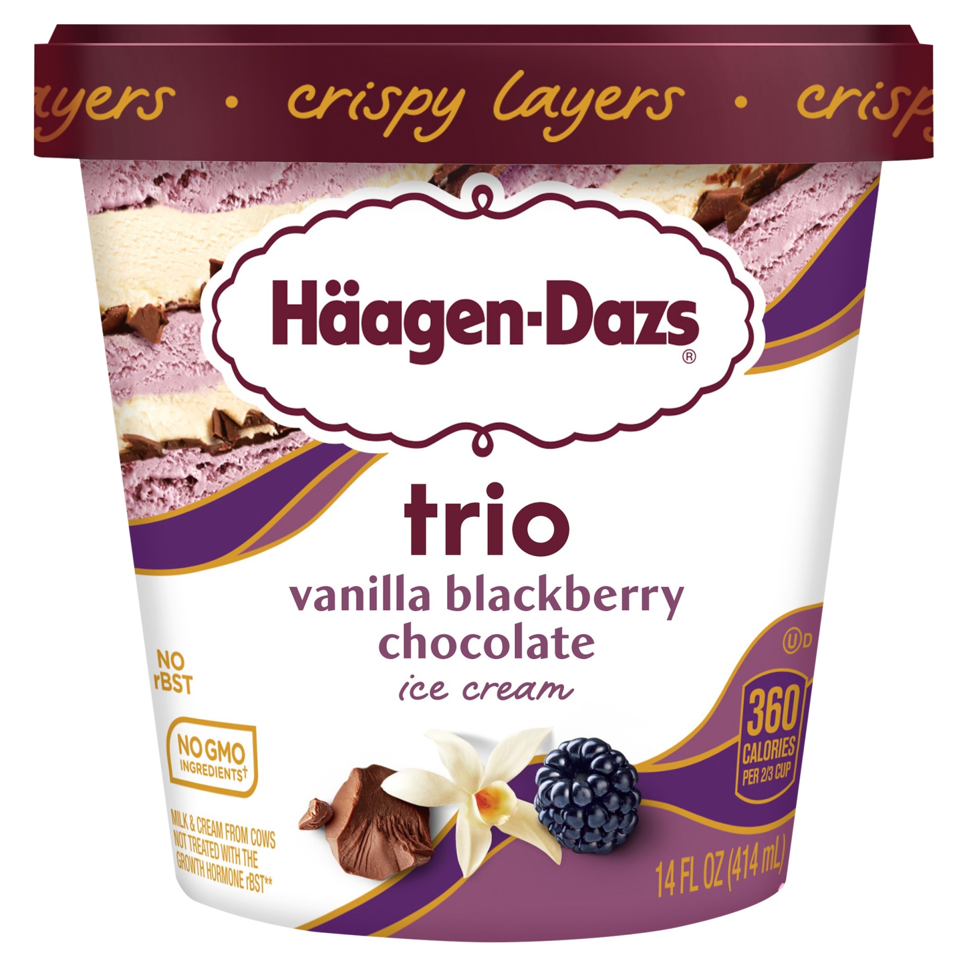 slide 1 of 7, Häagen-Dazs Trio Vanilla Blackberry Chocolate Ice Cream, 14 fl oz