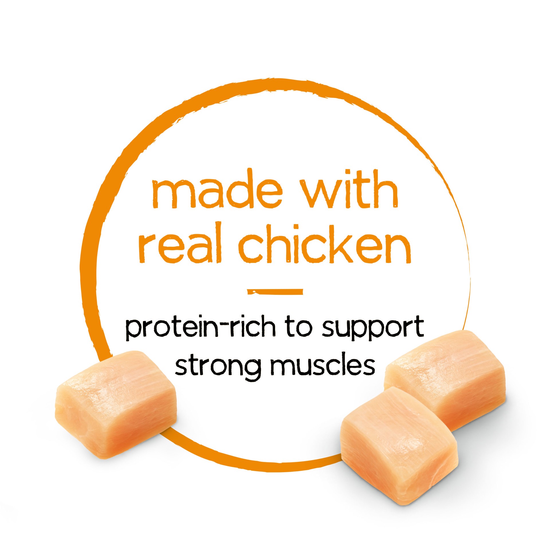 slide 5 of 9, Beneful Purina Beneful Infused Wet Pate Dog Food With Real Chicken, Carrots and Spinach, With Fish Oil for Dogs, 9 oz