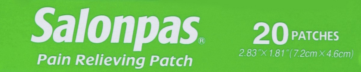 slide 3 of 5, Salonpas Pain Relieving Patch 20 ea, 20 ct