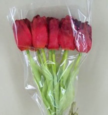 slide 1 of 1, Tulip 5 Stem Bouquet, 1 ct