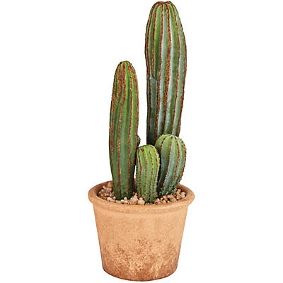 slide 1 of 1, Gerson Artificial Potted Cactus&nbsp;, 11 in