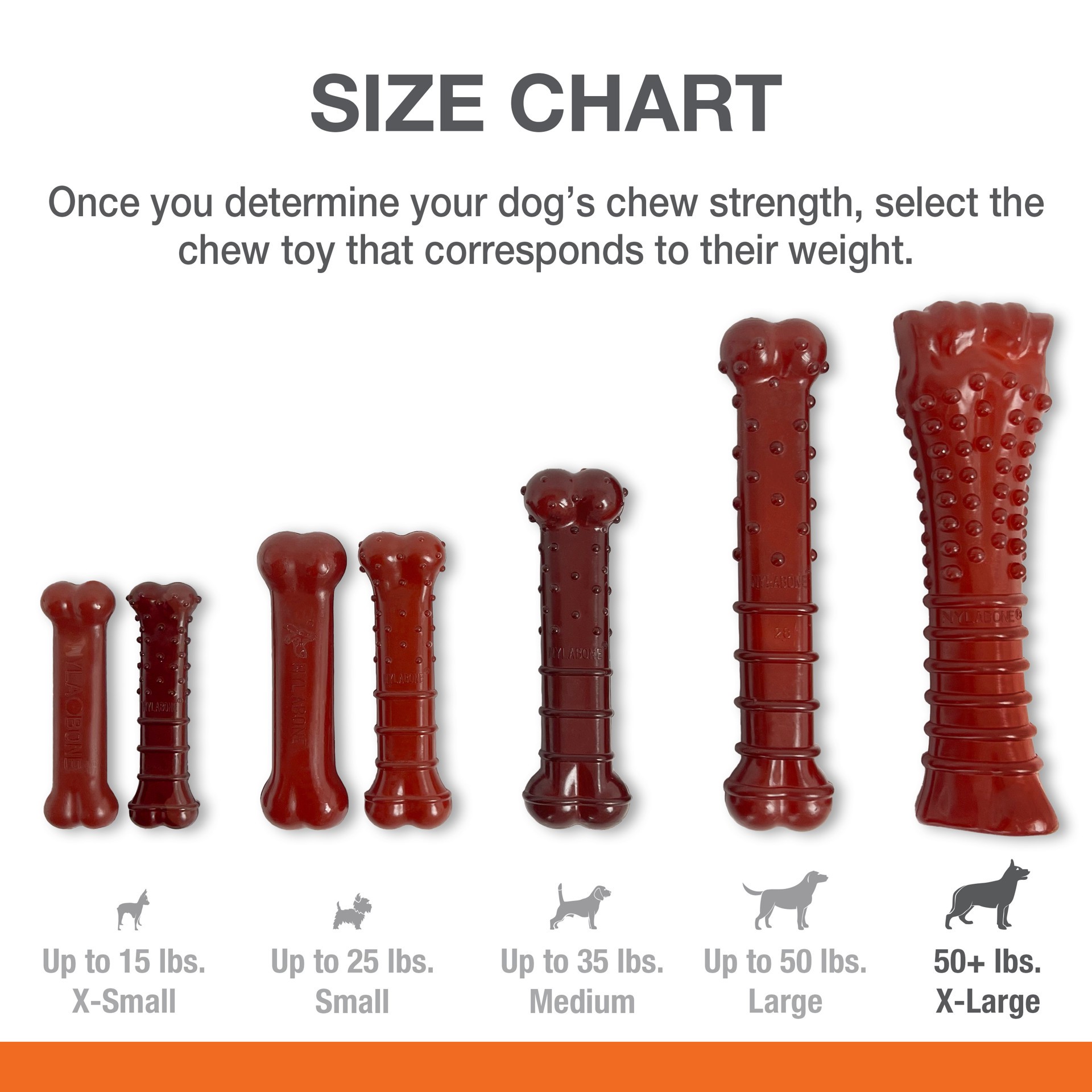 slide 5 of 10, Nylabone Bacon Basted Flavor/Steak Flavor Dog Toy 1 Each, 1 ct