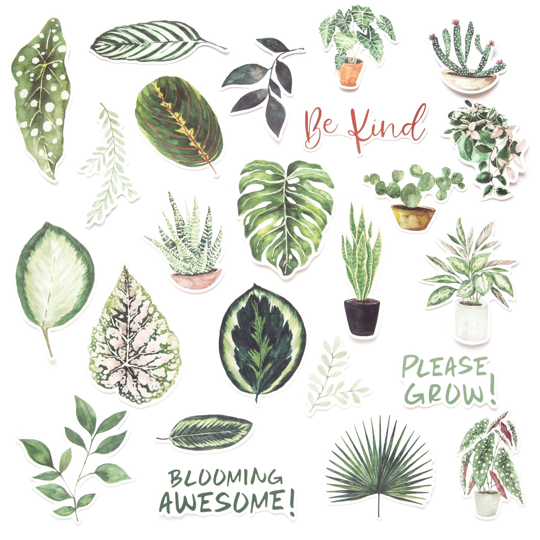 slide 5 of 5, Green Plants Die Cut Stickers By Recollections, 4 in x 6 in