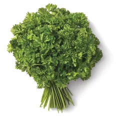 Fresh Organic Curly Leaf Parsley