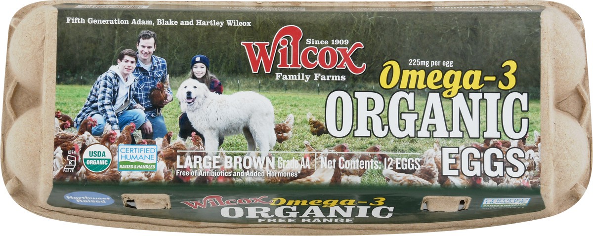 slide 2 of 9, Wilcox Organic Brown Free Range Eggs Large 12 ea, 12 ct