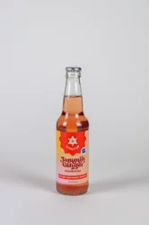 Lively Up Kombucha Ginger Jammin- 12 fl oz