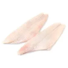 Fresh North Atlantic Flounder Fillet