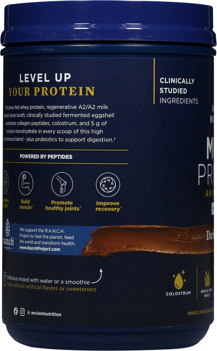 slide 12 of 13, Ancient Nutrition Drk Choc Creatine Protein Powder, 620 gram