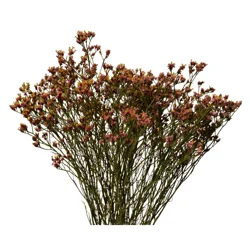 Floral & Vine Limonium Bunch