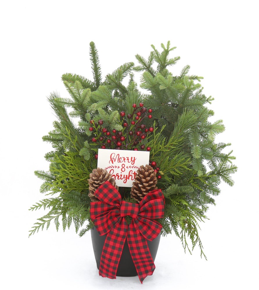 slide 2 of 2, BLOOM HAUS Large Outdoor Holiday Arrangement, 1 ct
