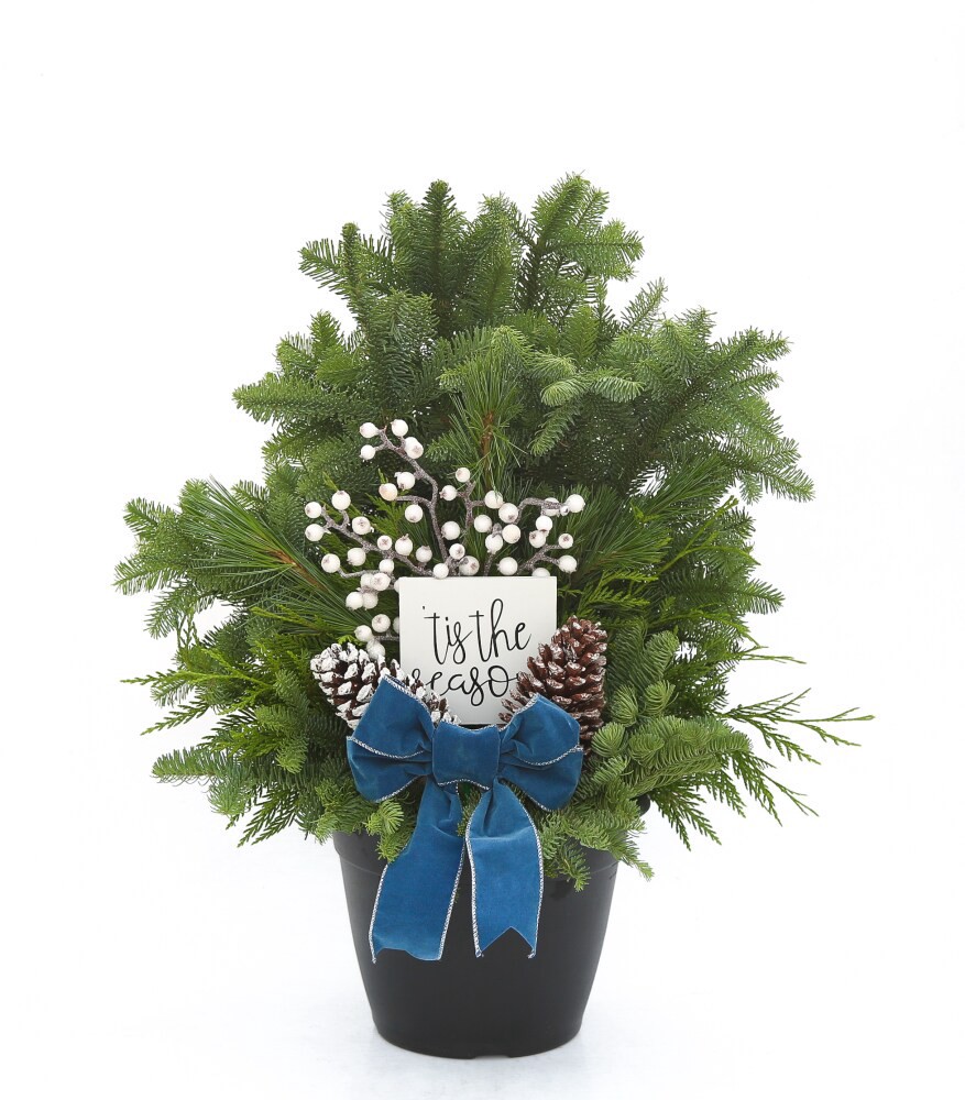 slide 1 of 2, BLOOM HAUS Large Outdoor Holiday Arrangement, 1 ct