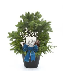 BLOOM HAUS Large Outdoor Holiday Arrangement