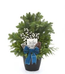 BLOOM HAUS Large Outdoor Holiday Arrangement