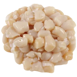 Fresh Bay Scallops
