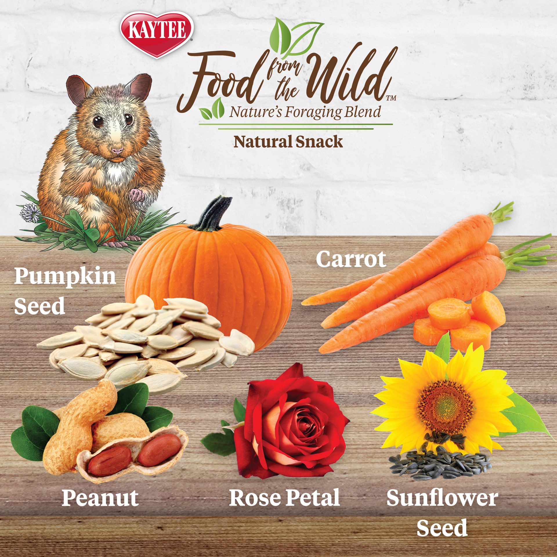 slide 8 of 10, Kaytee Food from the Wild Natural Snack Hamster and Gerbil 2 Ounces, 1 ct