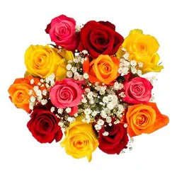 Bouquet Dozen Rainbow Rose