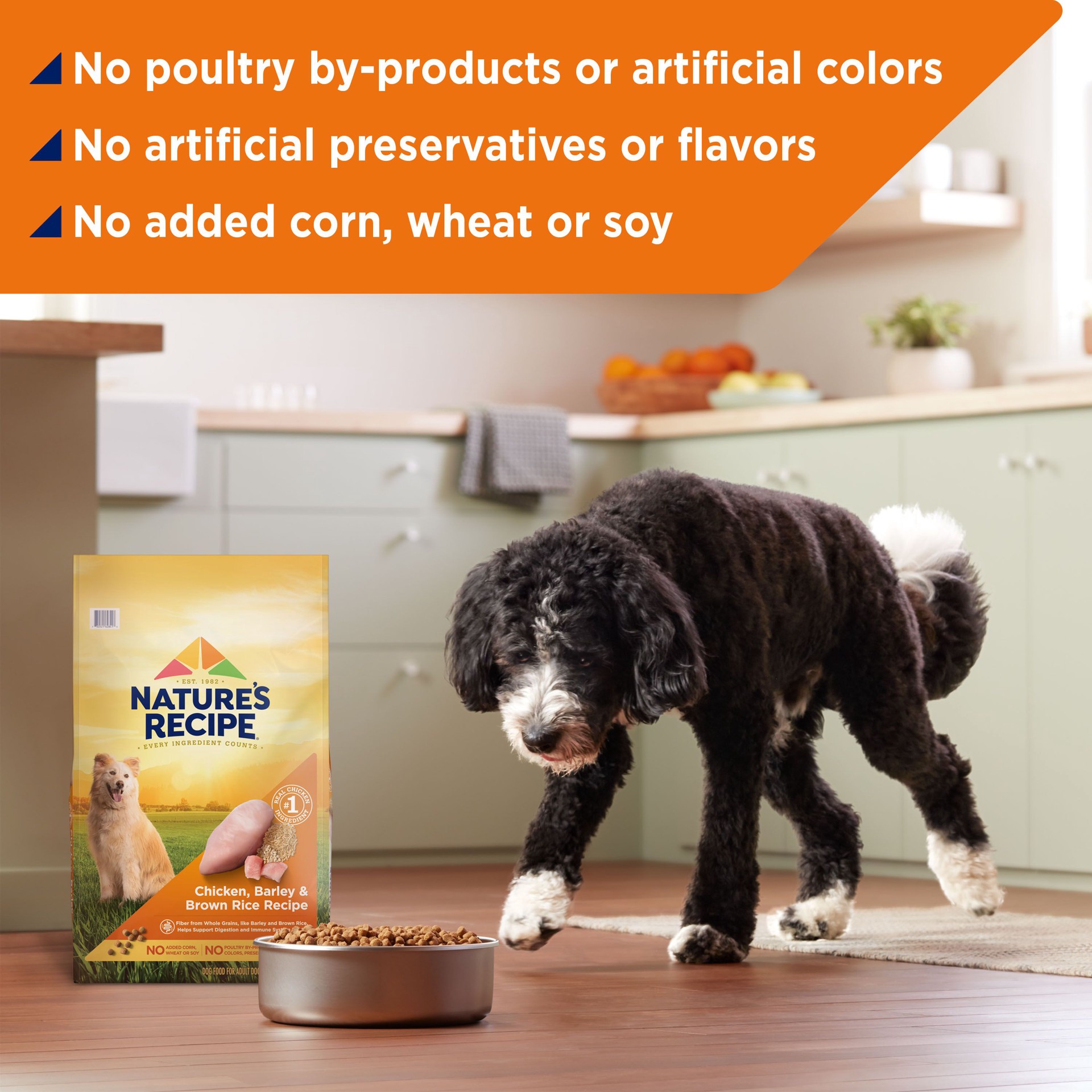 slide 6 of 10, Nature's Recipe Nature′s Recipe Chicken, Barley & Brown Rice Recipe Dry Dog Food, 12 lb. Bag, 12 lb