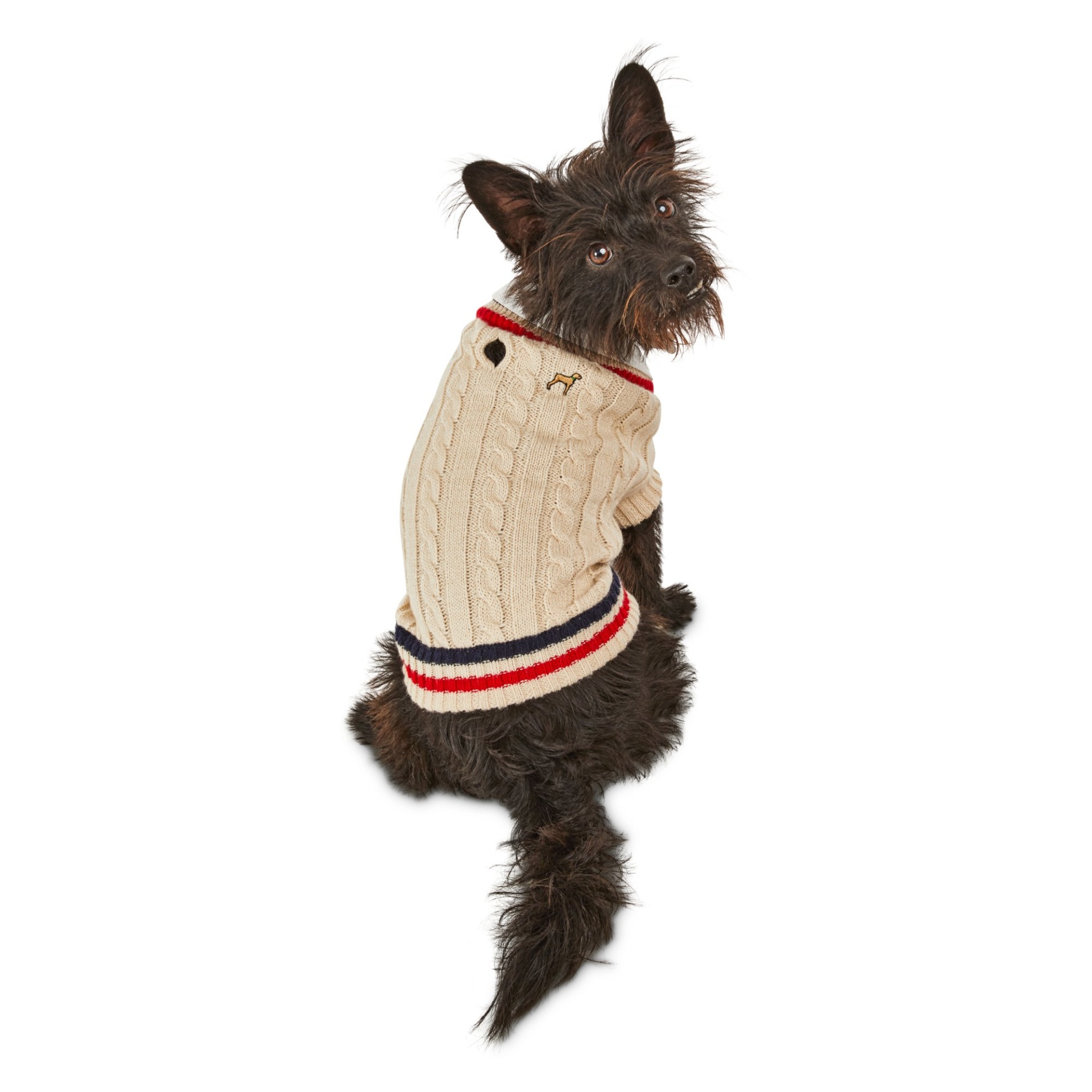 slide 1 of 1, Bond & Co. Tee Time Cable Knit Dog Sweater, MED