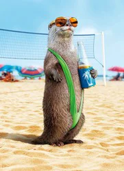 Avanti Birthday Card - Otter Wearing Mankini
