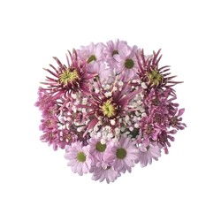 Redner's Big Bunch Bqt.