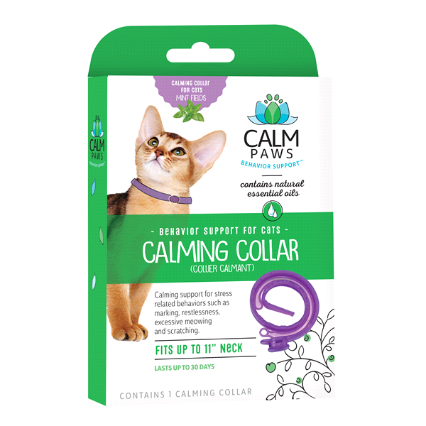 slide 1 of 1, Calm Paws Calming Essential Oils Cat Collar, 1 ct