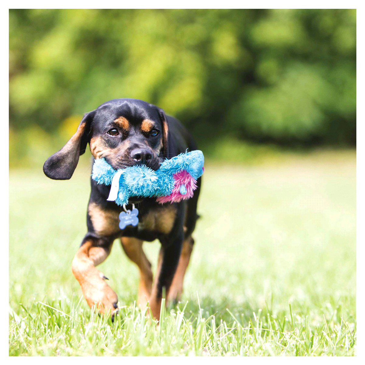 slide 3 of 3, KONG Cozie Ali Alligator Medium Dog Toy 1 Each, 1 ct