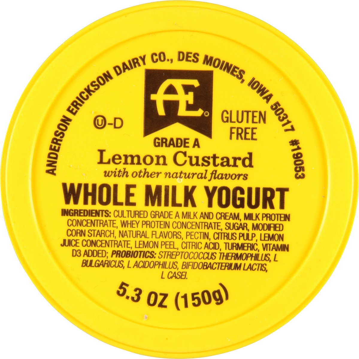 slide 9 of 9, AE Dairy Lemon Custard Whole Milk Yogurt 5.3 oz, 5.3 oz
