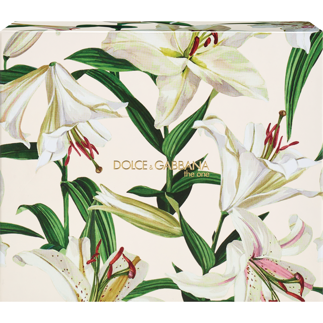 slide 1 of 1, DOLCE GABANNA D&G The One Wom Edp, 1 ct