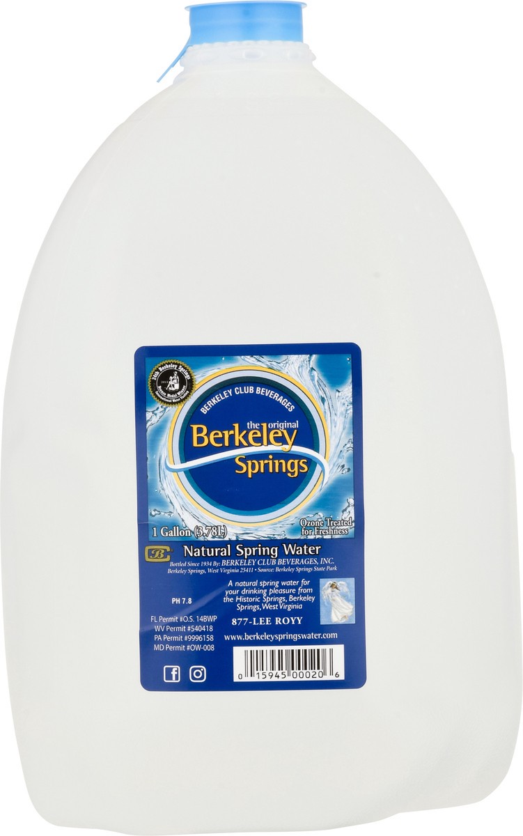 slide 7 of 9, Berkley Springs Nat Water, 128 fl oz