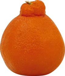 Minneola Oranges 1 ea